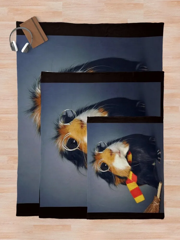 ����Ǳ�-ī�� �÷���-�� 24 ������ ���, ���Ÿ� ����Ʈ ��ġ ��� ���