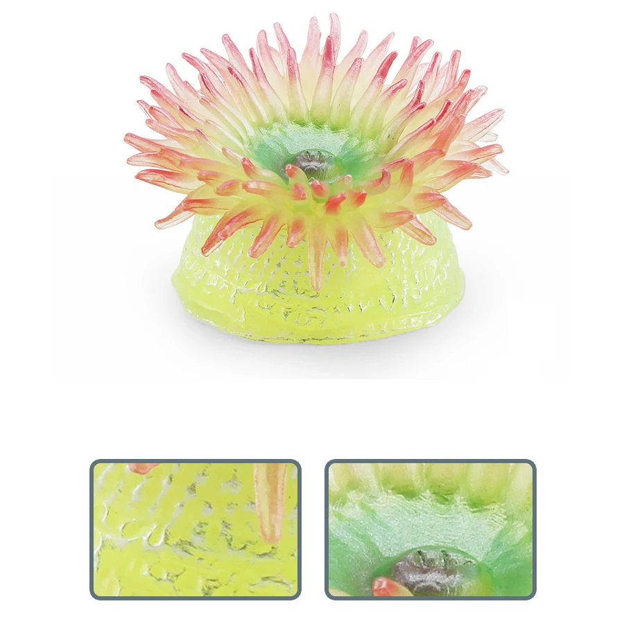Realistic Coral Sea Anemones Educational Miniature Collection