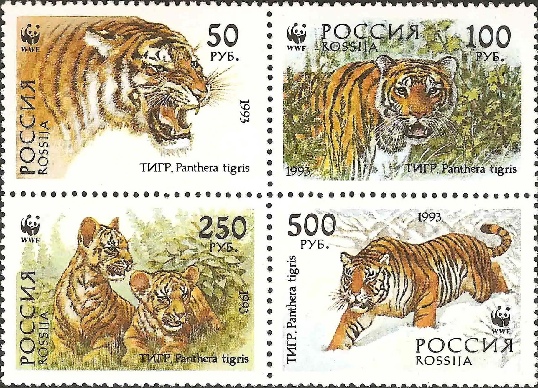 

4Pcs/Set New Russia Post Stamp 1993 Northeast Tiger Postage Stamps MNH