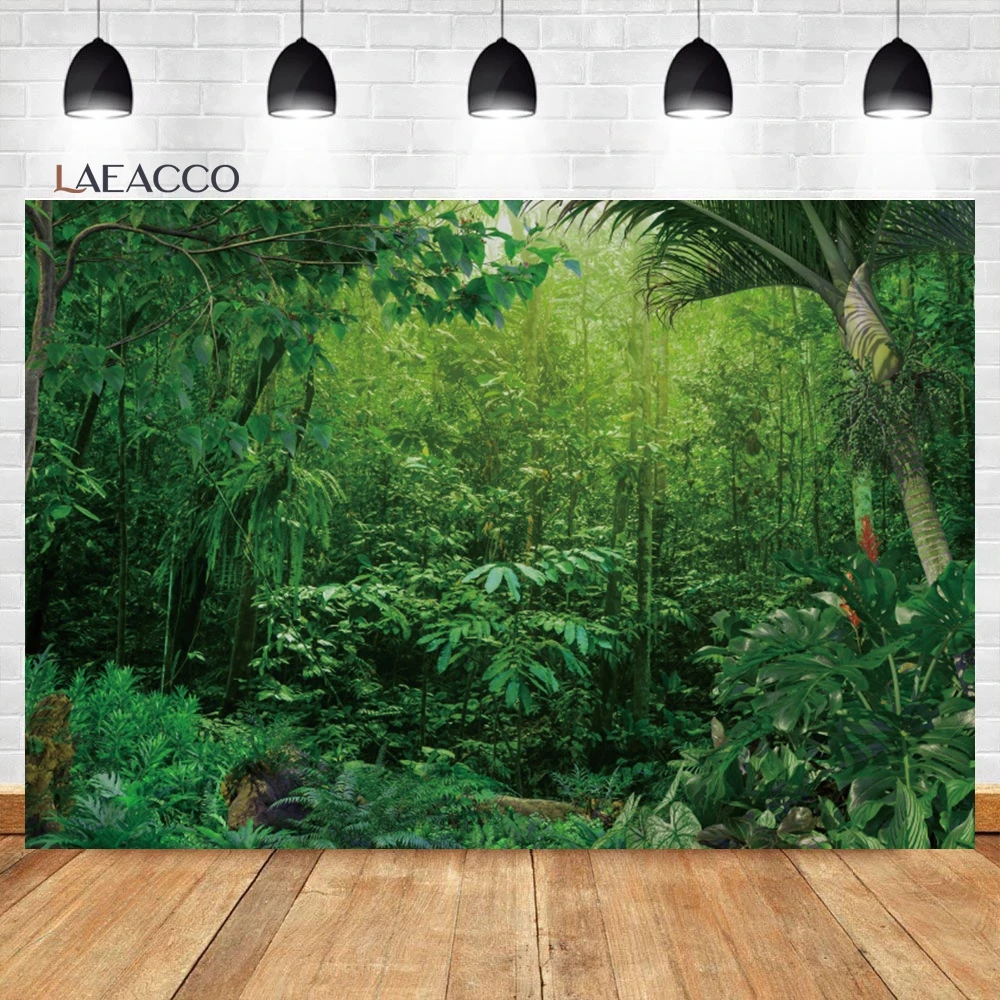 Laeacco     ö,   , Ĺ ڿ ǳ,   ʻȭ 