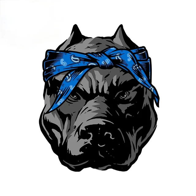 Beware Protected by Pit Bull Terrier with Attitude - Blue Nose SLAP-STICKZ(TM)  Automotive Car Window Locker Bumper Sticker 
