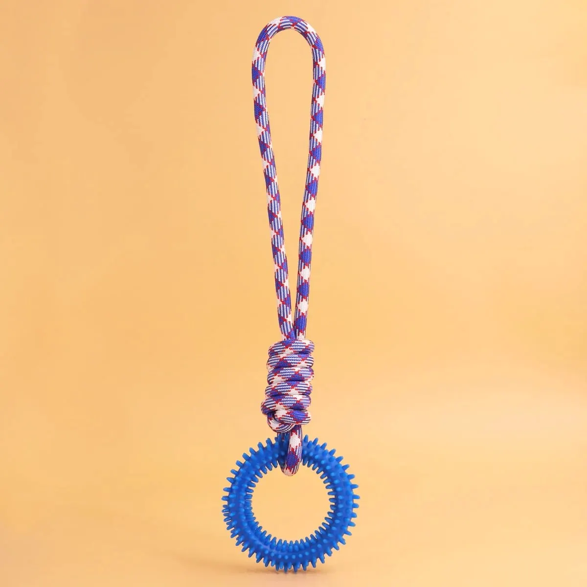 Spiked Ring Dog toy 2