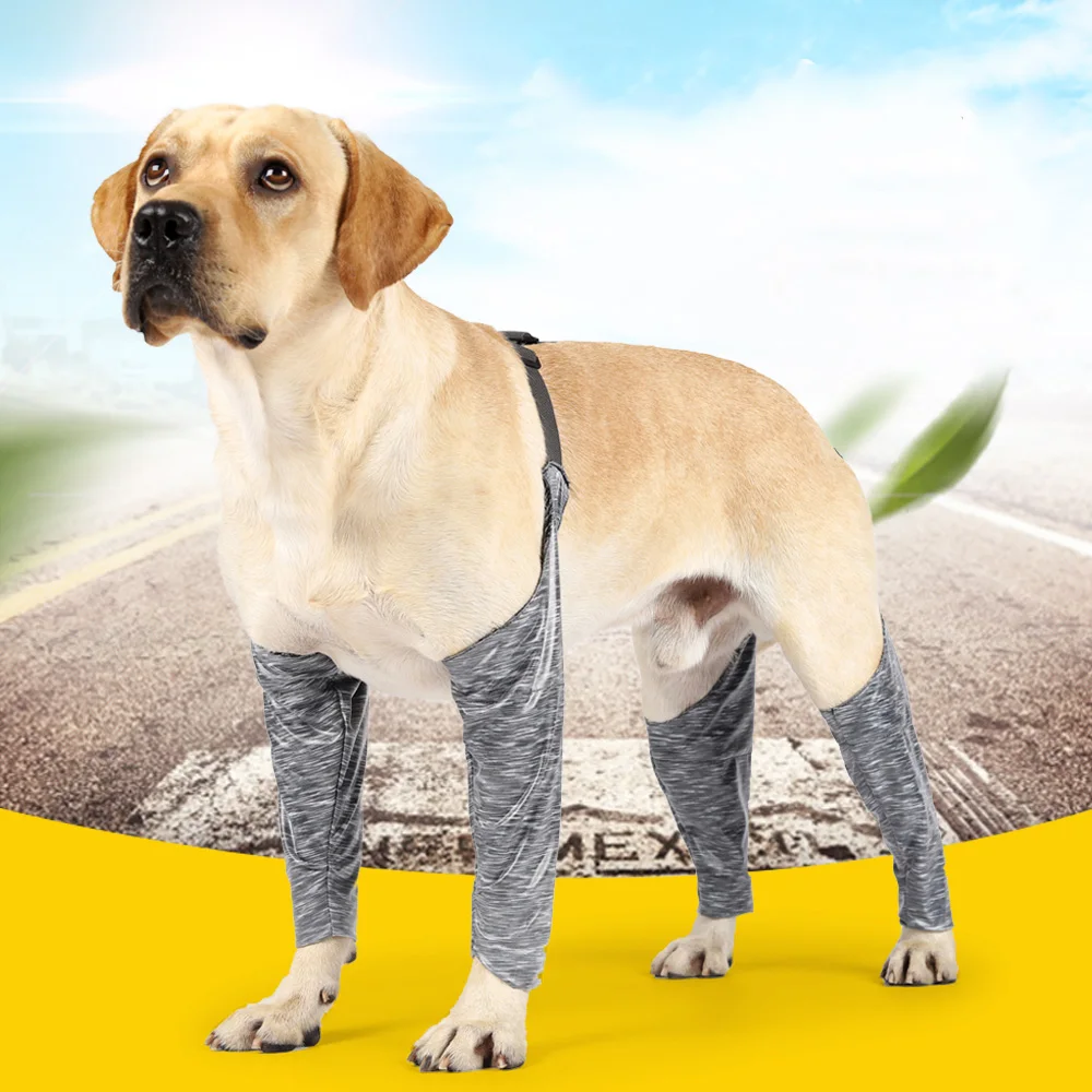 Dog Leg Pee Protectorsnull