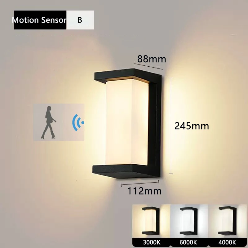 B Motion Sensor