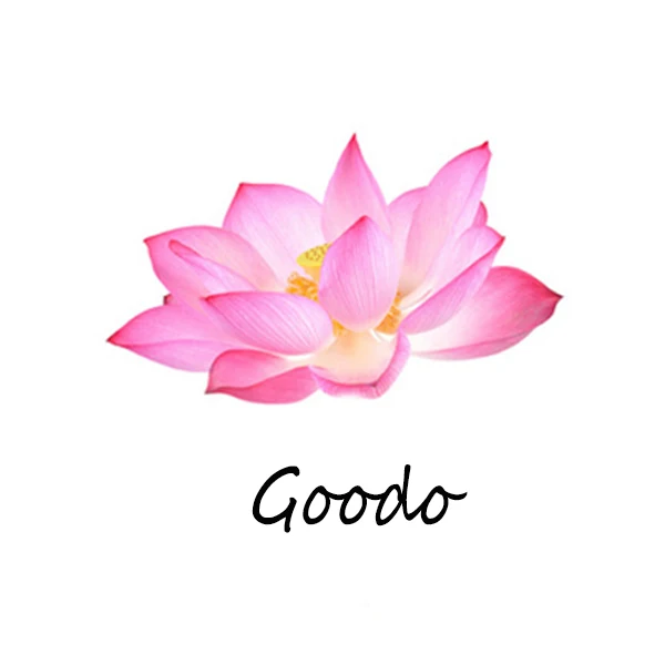 Goodo Store