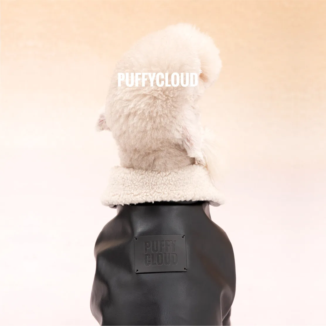 블랙 빈티지 바이커 시어링 칼라 커프스 PU 가죽 재킷 (이탈리안 그레이하운드 캐주얼 코지 2-Leg 패션 코트, 벨링턴용)