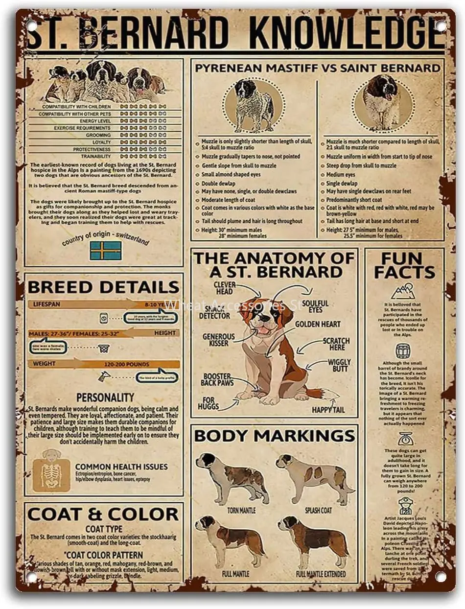 

8x12 Inches Metal Tin Sign St Bernard Knowledge Logo Vintage Funny Poster Wall Decor Art Gift