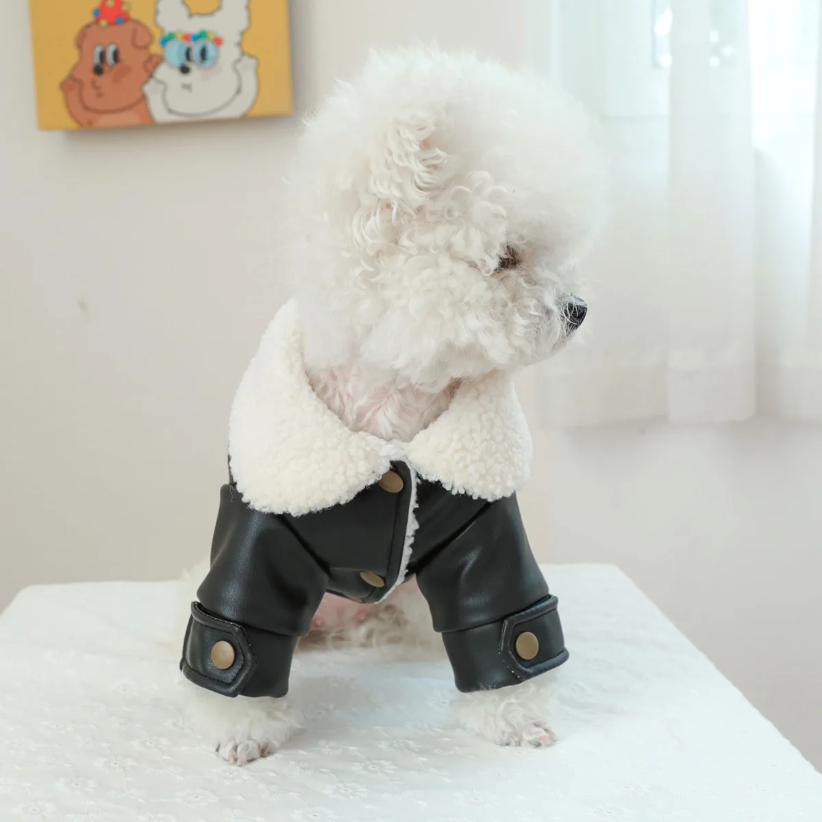 Pet Leather Fur Collar Fur Coat - PeticaDeals