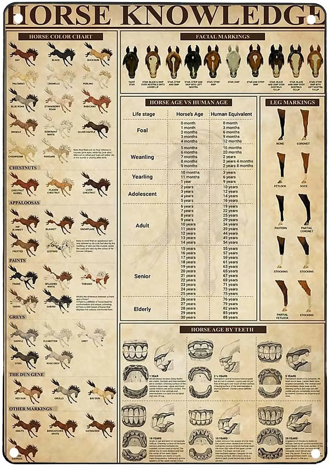 

Retro Horse Knowledge Metal Tin Sign Vintage Coffee Wall Coffee Bar Decor 12x18 Inch Tin Sign Wall Decoration