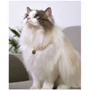 Pet Cat Collars Pearl Rose Pendant Necklace Cat Dog Pearl Collar Pet Pendant Cute High Beauty Retro Decoration Teddy Dog Collar 5