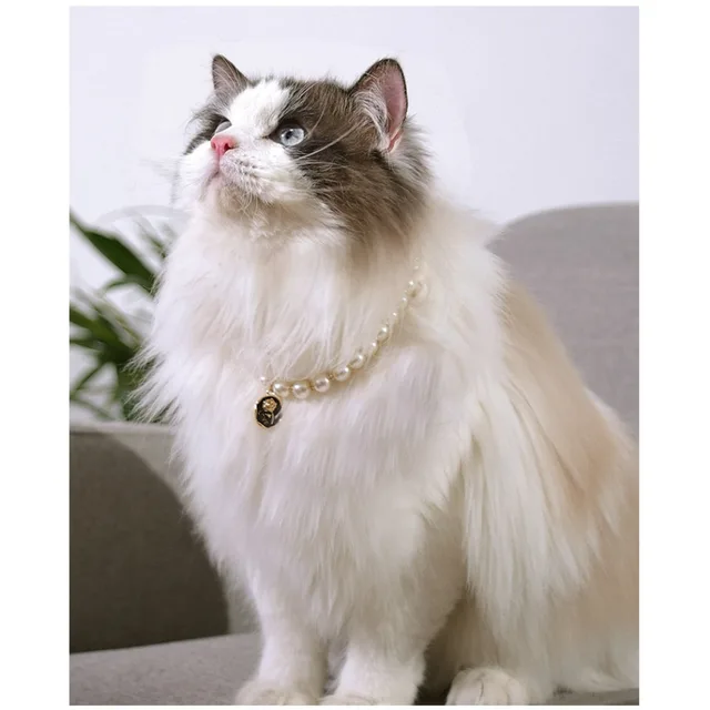 Pet Cat Collars Pearl Rose Pendant Necklace Cat Dog Pearl Collar Pet Pendant Cute High Beauty Retro Decoration Teddy Dog Collar 5