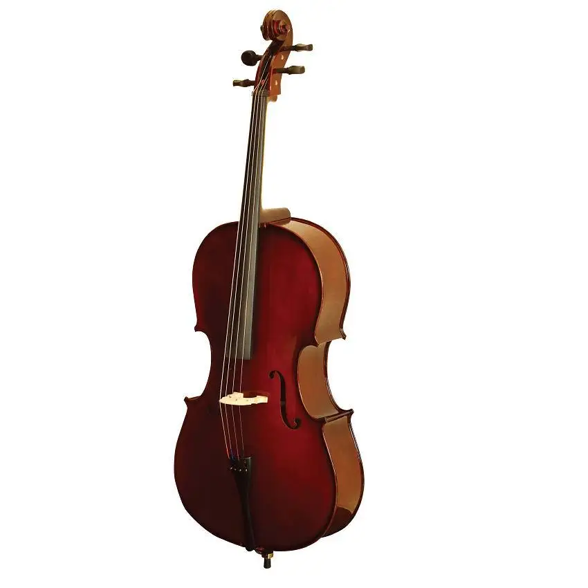 

OEM High quality retro performance for Cello beginners