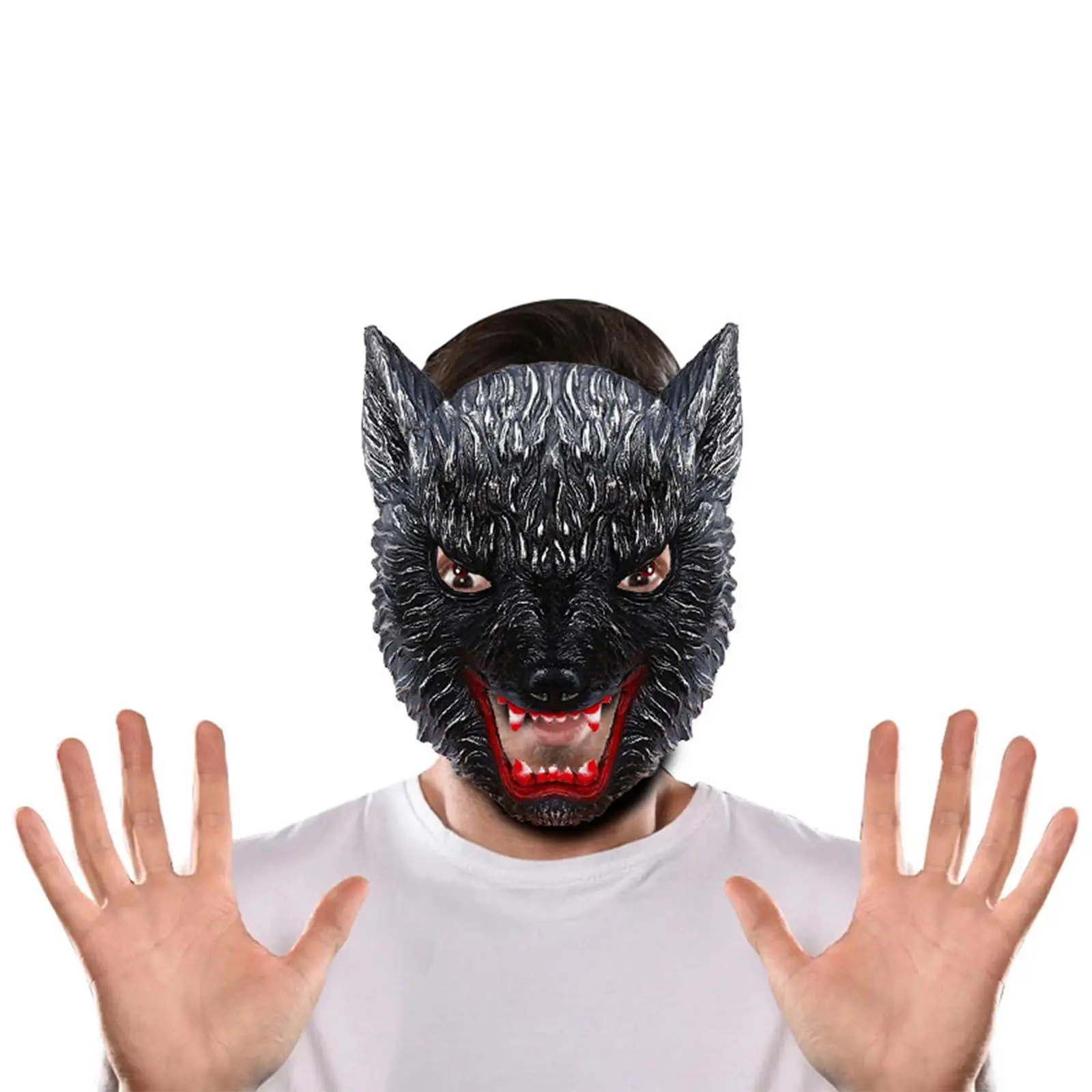 ҷ  ũ  ȸ ڽ ǻ, ȭ ׸   