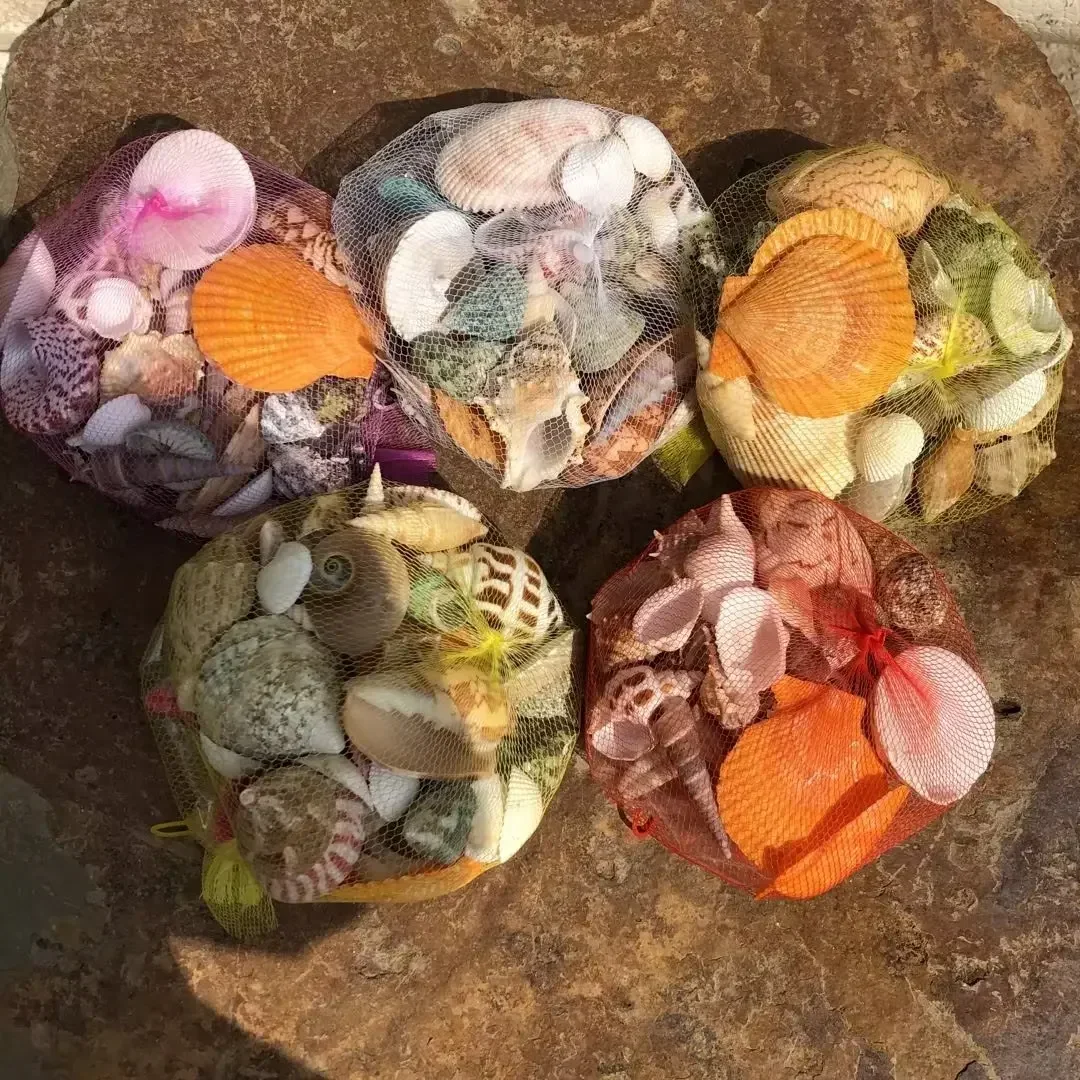 Shell Fish Tank Landscaping Small Conch Shell Handmade