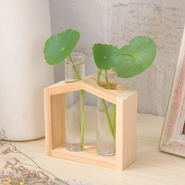 Contenitore per piante idroponiche con struttura in legno Provetta in vetro trasparente Vaso da fiori Decorazioni per bonsai da tavolo per la casa Artigianato 3