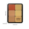 12 Colors Highlight Blush Concealer Makeup Palette Shimmer Matte Long-Lasting Easy Makeup Rouge Compact Blush for Dark Skin 6