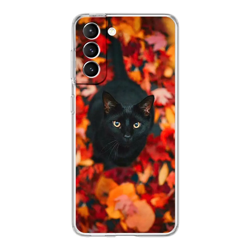 Maple Leaf Autumn Design Clear Phone Case