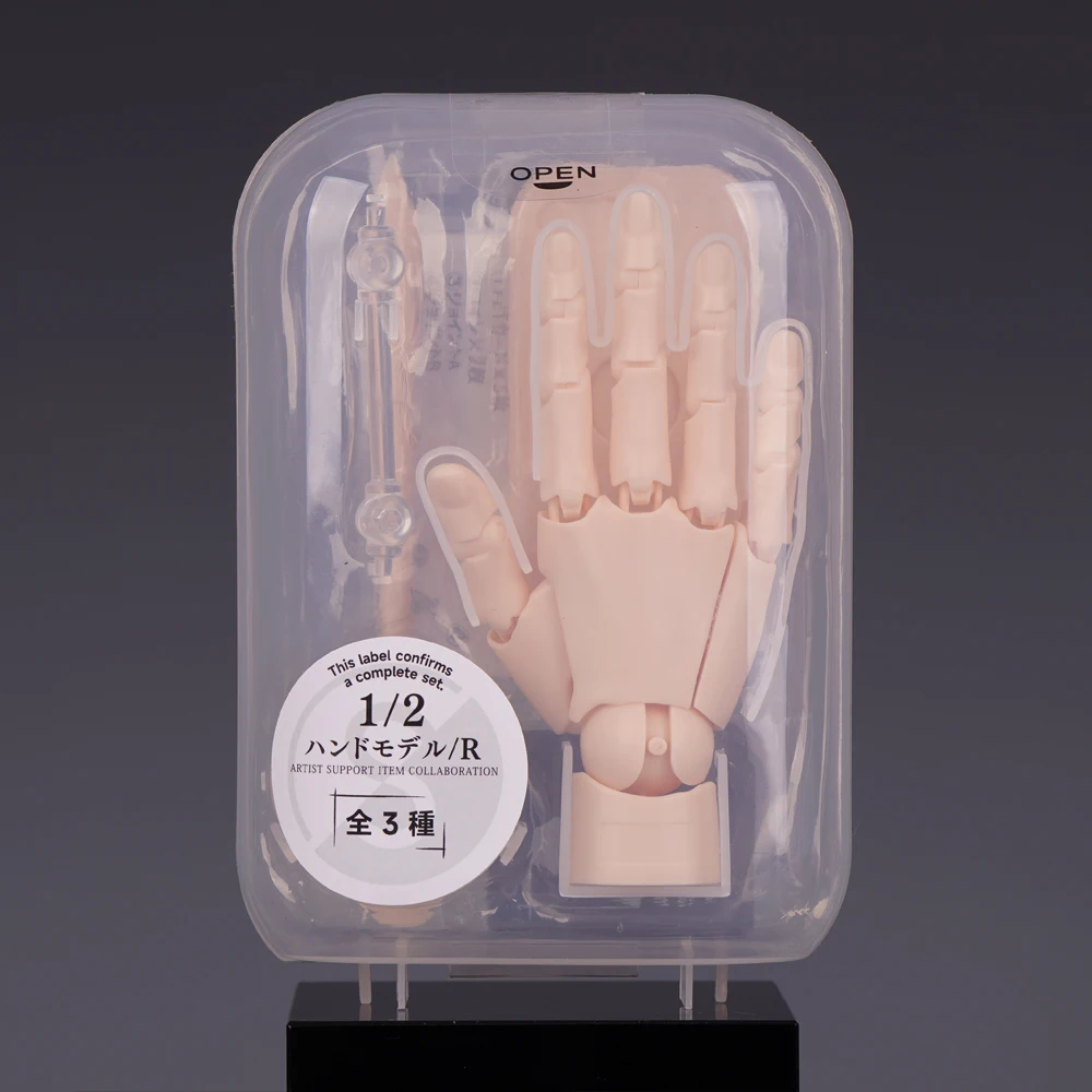 Articulated Human Hand Miniature Desktop Ornament - 1:2 Scale with Movable Finger Joints