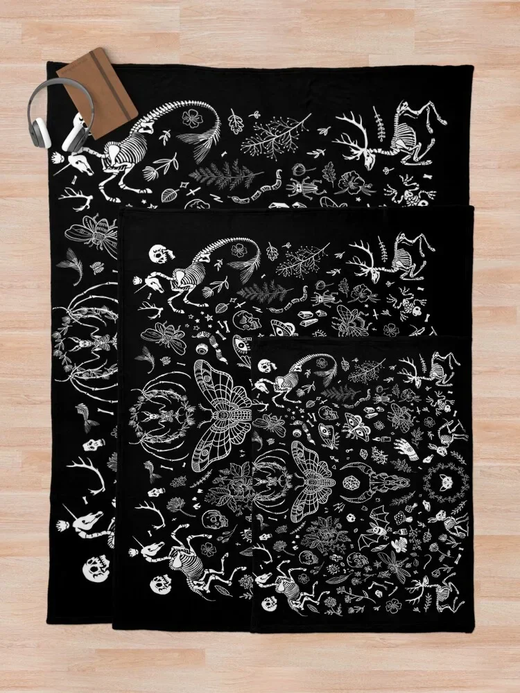 ���� ���ǽ�Ʈ�� ������ ���, �غ� ����, ���ſ� �ε巯�� ���