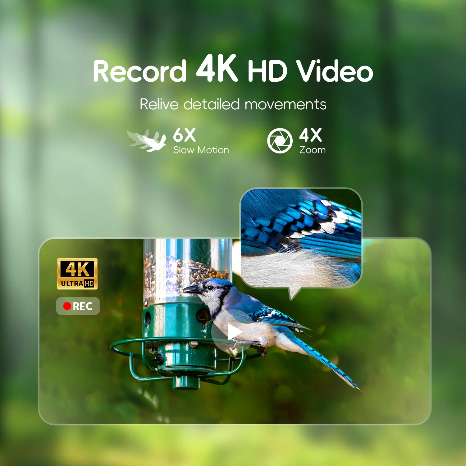 Willfine Best Outdoor Waterproof Wireless Compact 4K Video 32Mp