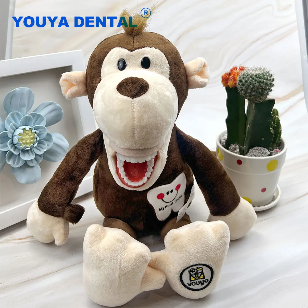 

Стандартная обучающая модель зубов, мягкая обезьянка, демонстрационная Зубная фея с зубной щеткой, модели для детей, Обучающие подарки для стоматолога