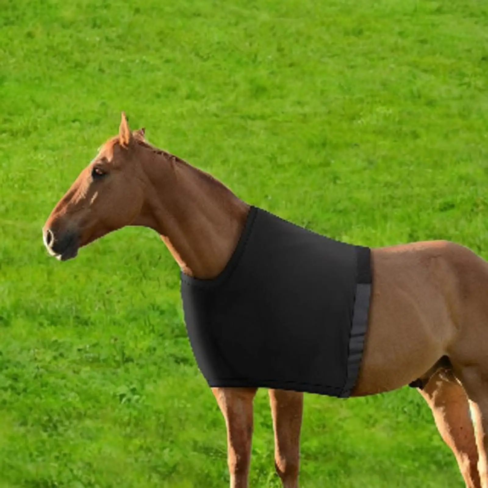 Horse Shoulder Guard Chest Guard Chest Saver Prevent Rug Rubs High Elastic