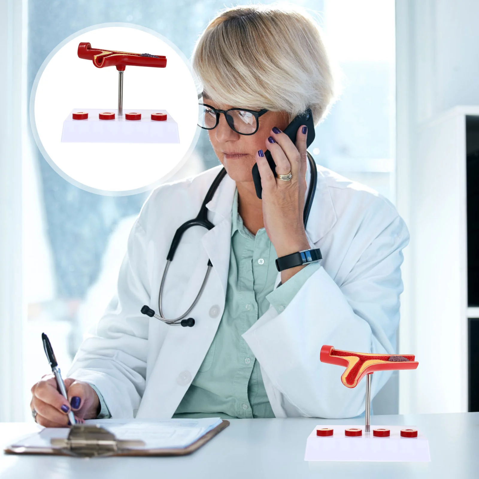 

Анатомическая модель атеросклероза, обучающая модель, модель сердечно-сосудистой системы