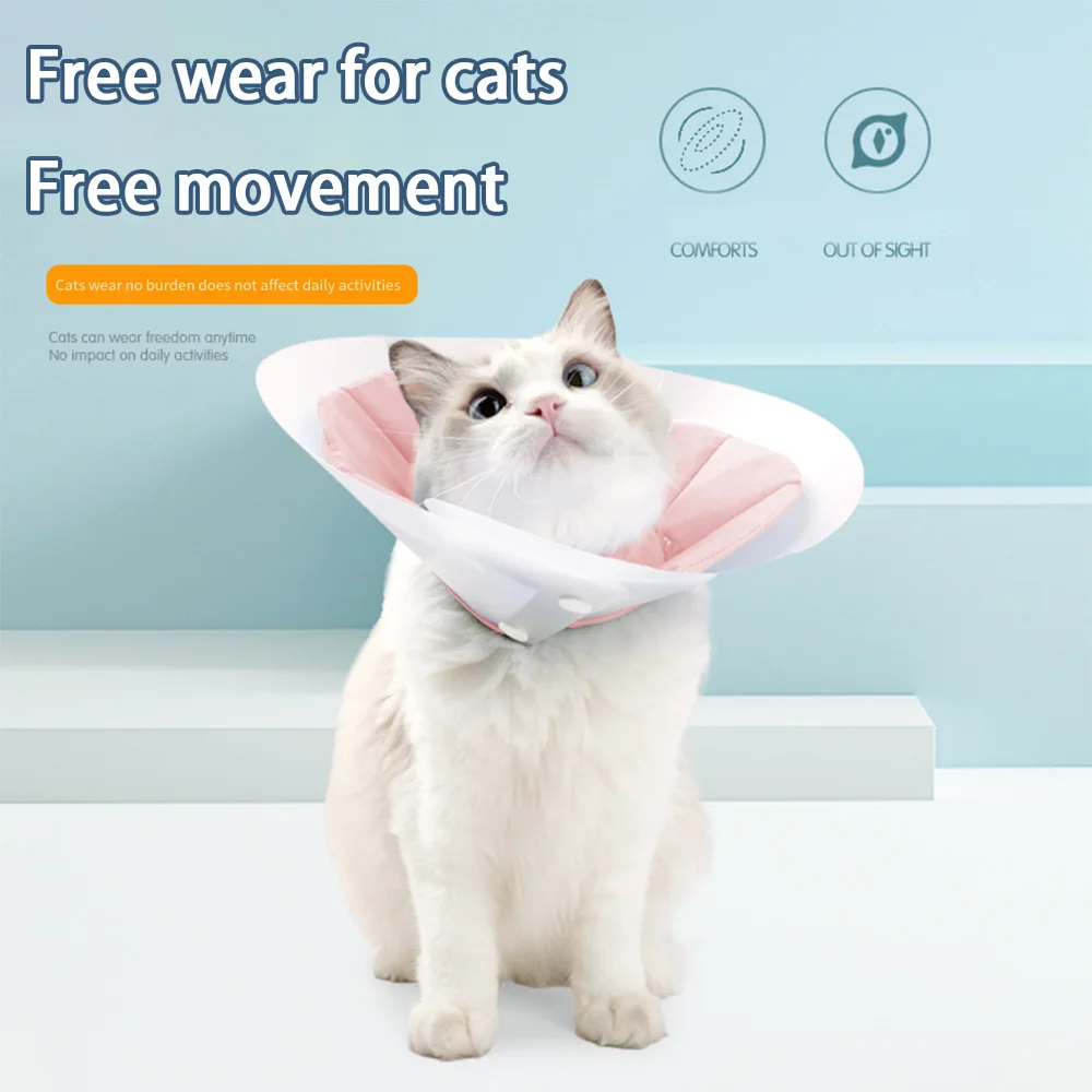 Dual-Layer Cat Recovery Cone