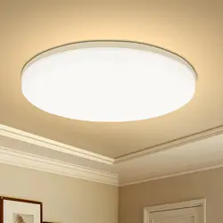 Elegant Round LED Ceiling Light - Modern Decorative Fixture - 18CM - 24W (Warm white)