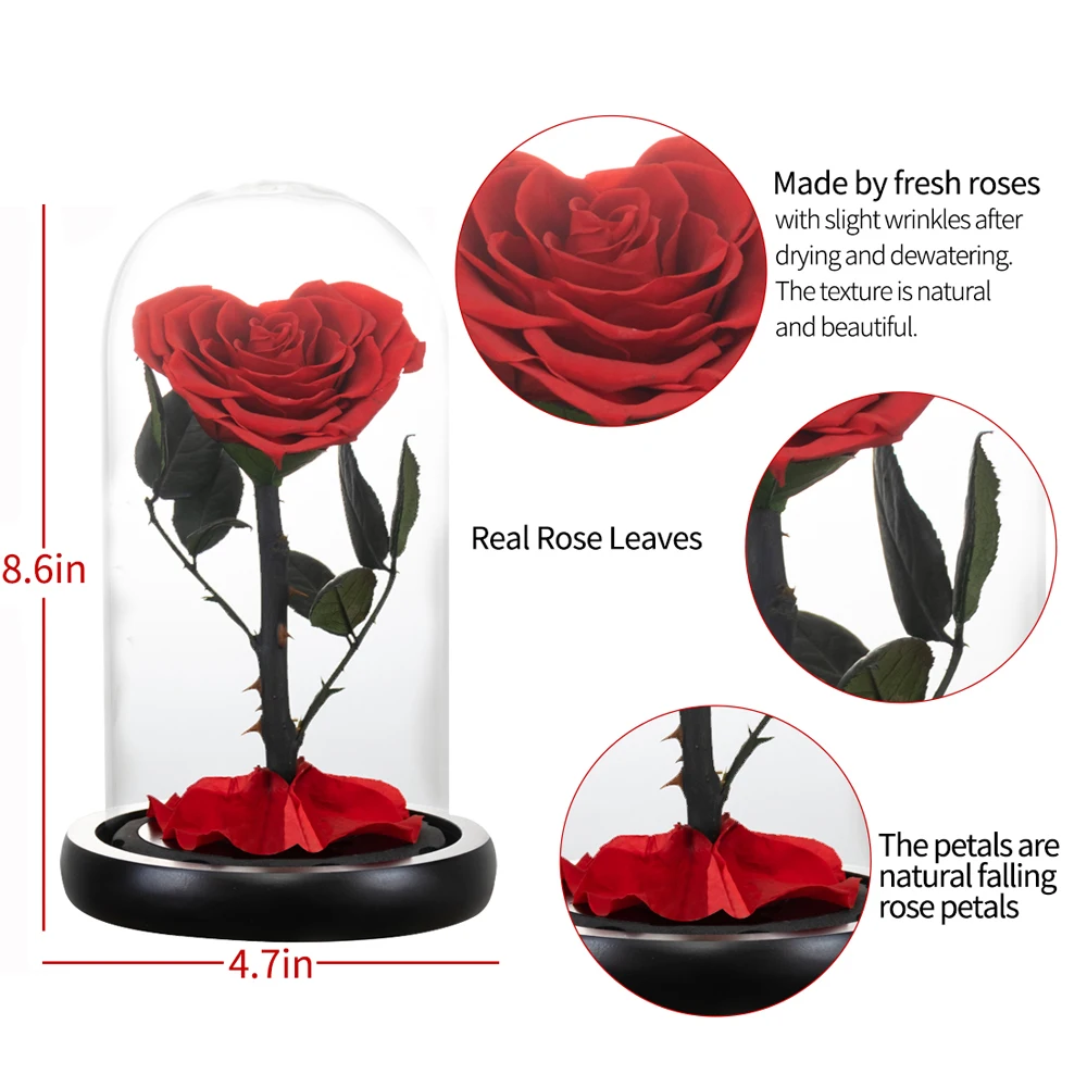 Rosa preservada en forma de corazón, Rosa eterna de la Bella y La Bestia,  cúpula de cristal, flores para siempre para bodas, regalos de San Valentín  y Navidad - AliExpress