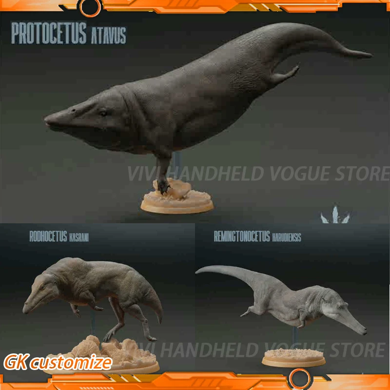 Protocetus