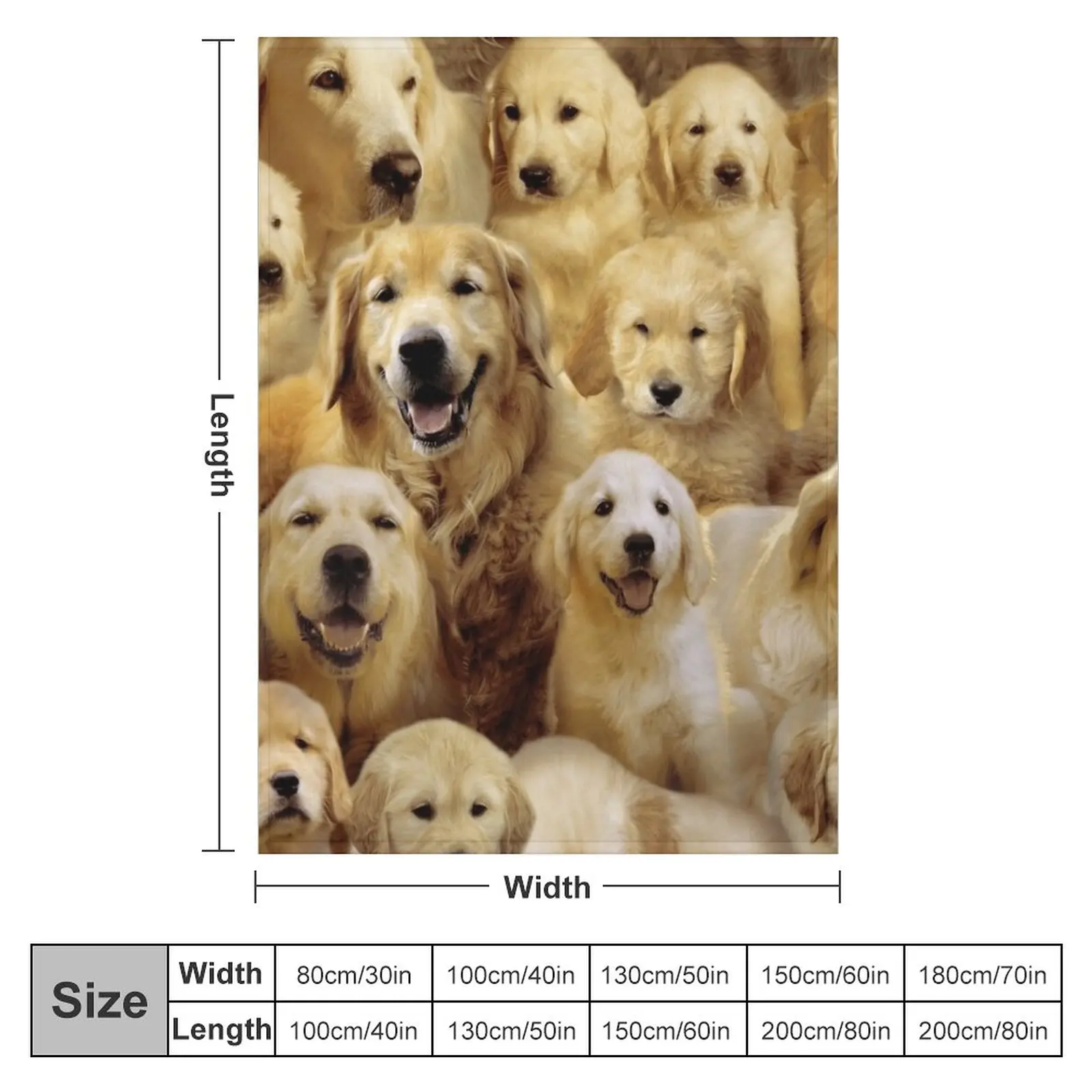 ��� ��Ʈ���� ������ ���, ���� �̺�, ��ũ�� ���