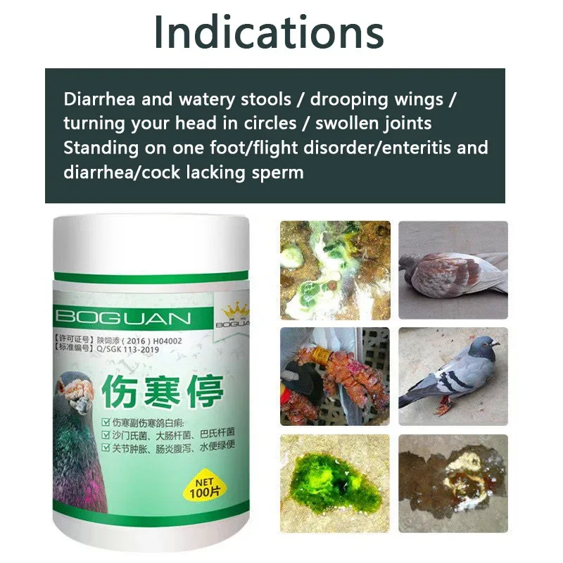 Pigeon typhoid fever stop Salmonella water green stool joint swelling enteritis yellow white stool diarrhea turning head