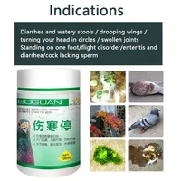 Pigeon typhoid fever stop Salmonella water green stool joint swelling enteritis yellow white stool diarrhea turning head 1