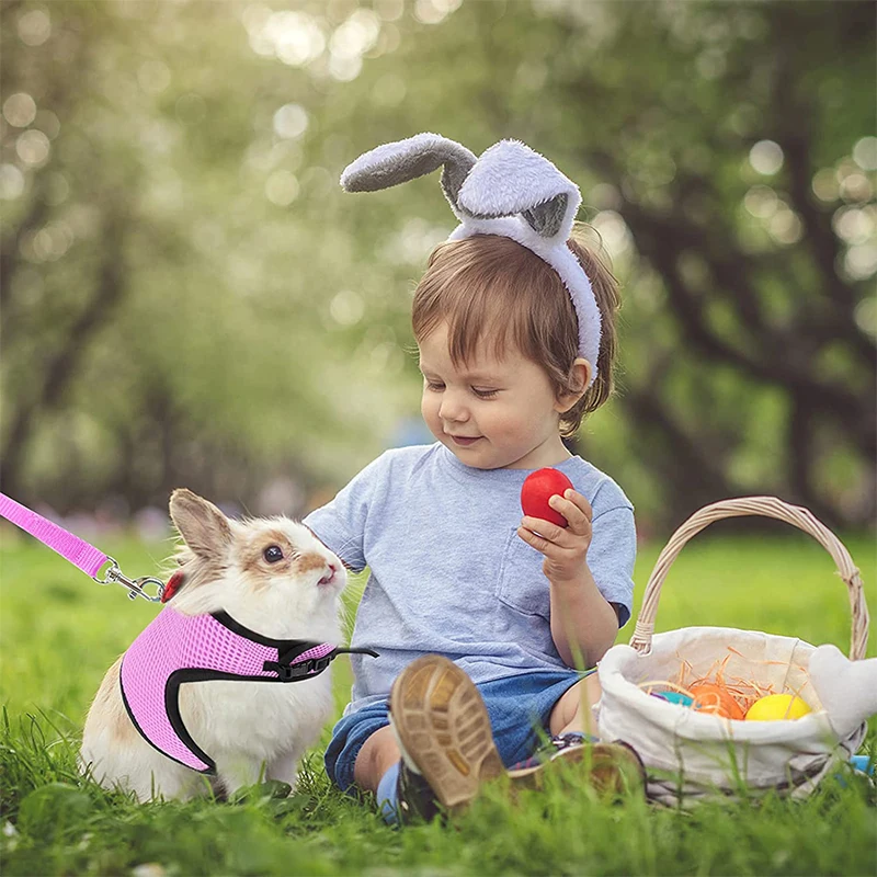 Small Animal Hamster Harness and Leash Set Mesh Rabbit Leash Lead Vest Harness for Guinea Pigs Chinchilla Rabbit Hamster rabbit harness and leash set rabbit harness set