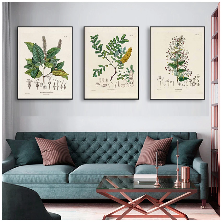 Pittura su tela Botanica Immagini d'arte da parete Decor Studi botanici Poster e stampe vintage Illustrazioni di piante francesi antiche - immagine 4