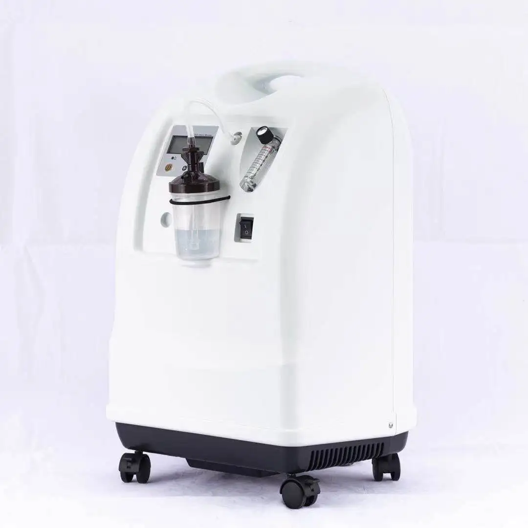 

WEGO Factory Direct Supply 10L Home Portable Concentrator Generator