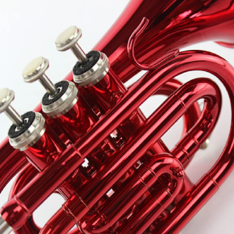 Learn Western Wind Instrument, B Flat Pocket, Red Palm Instrument