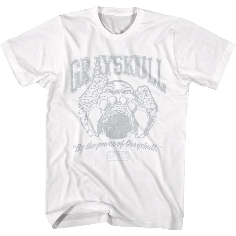 T-Shirt Vintage Grey Skull Masters Of The Universe
