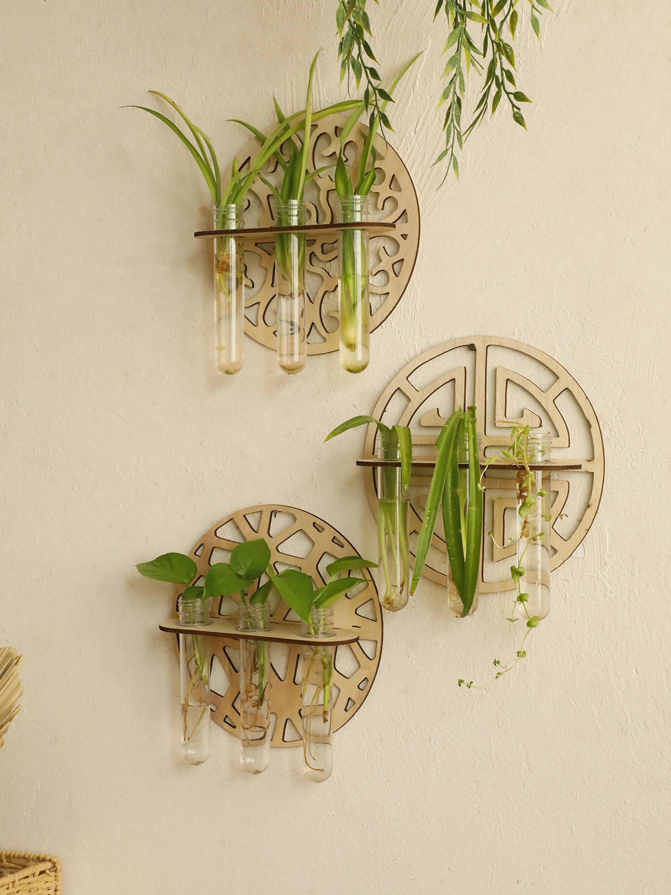 Wall-Mounted Rustic Wooden Flower Propagation Vase with Test Tubes