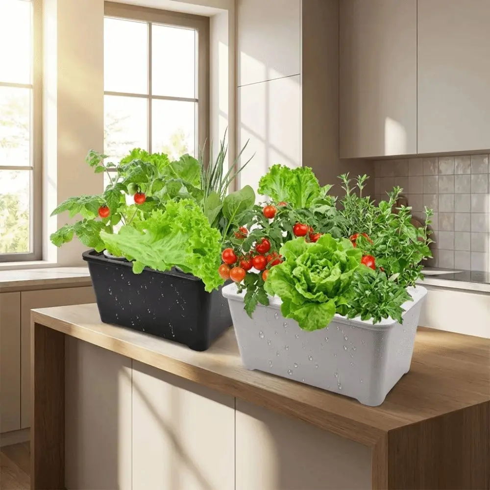 Hydroponic Grower Kit with Self-Watering Seedling Pots and Durable Cultivation Box