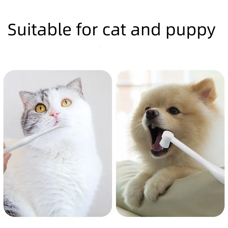 Round Head Pet Toothbrush 2