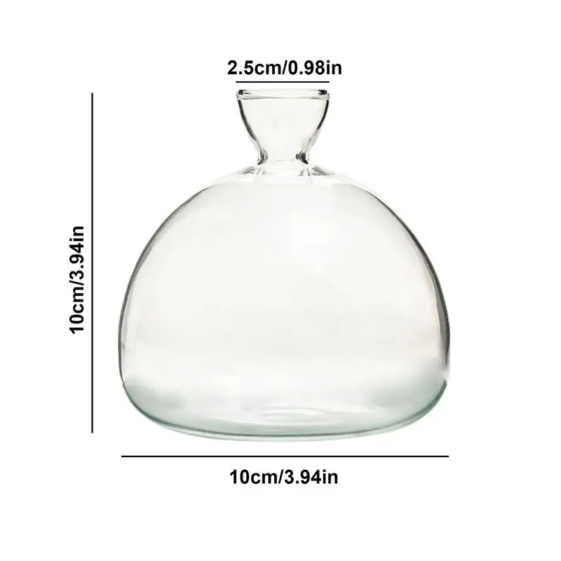 Transparent Glass Vase Avocado Seed Starters Vase Seed Growing Kit Avocado Vase For Growing Gift For Gardening Lovers Home Decor 6