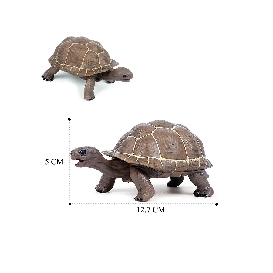 Realistic Sea Turtle Growth Cycle Educational Toy and Cake Topper Gift