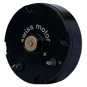 Image for 2607 Swiss Flat Tattoo Motor For Rotary Machine Gu 