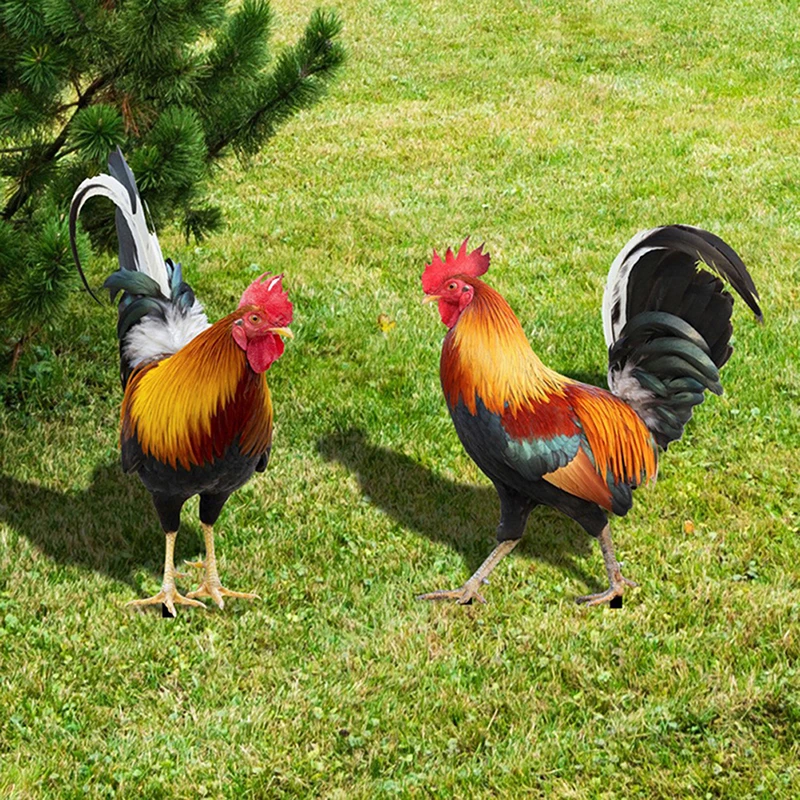 รูปสินค้า รูปปั้นไก่ตกแต่งสวน สวยทนแดดทนฝน