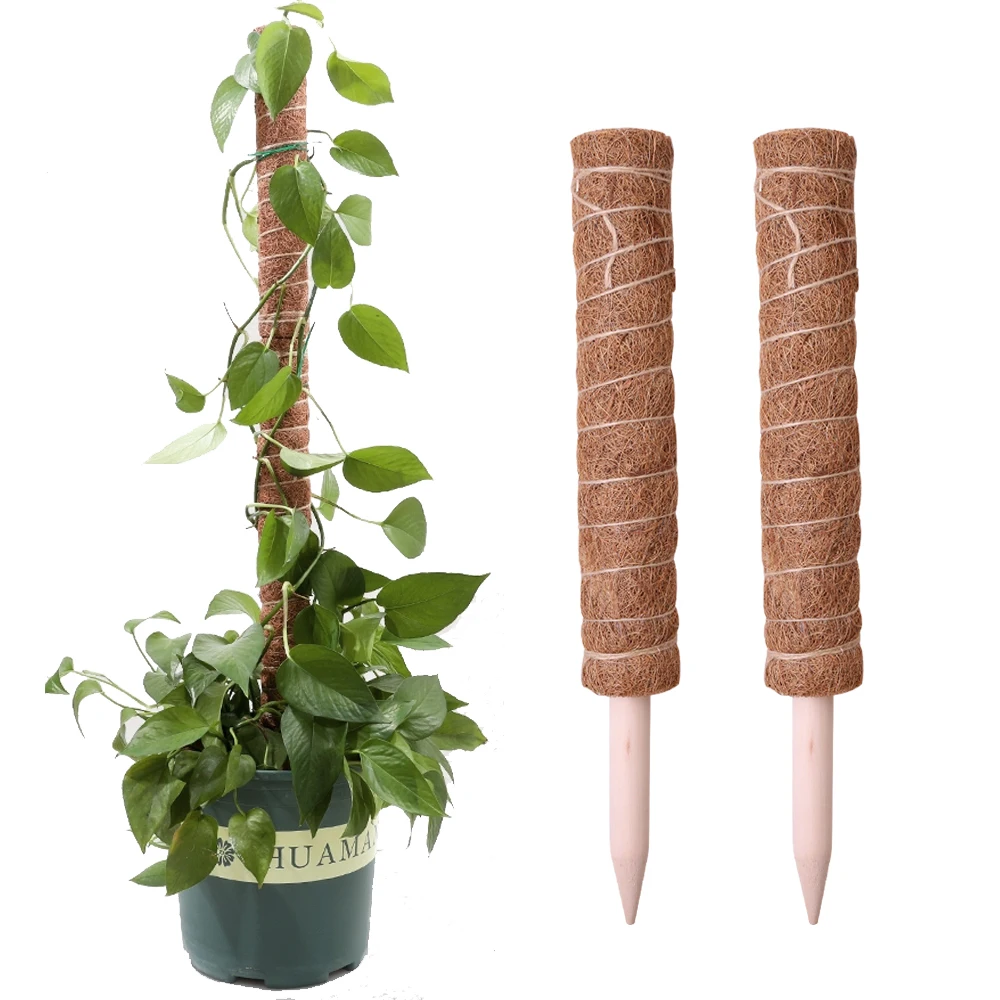 

Клетка для растений, многоразовый держатель для лазания, прочная подставка для цветочных растений, для балкона, садового двора, простая в использовании