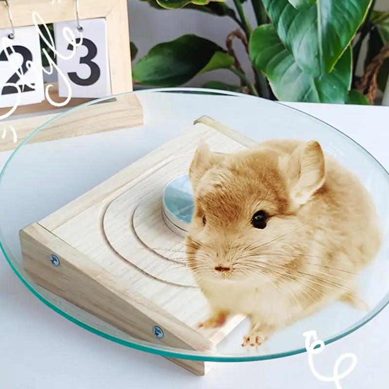 Hamster Flying Saucer Silent Health Supplies For Small Animal - Main Image