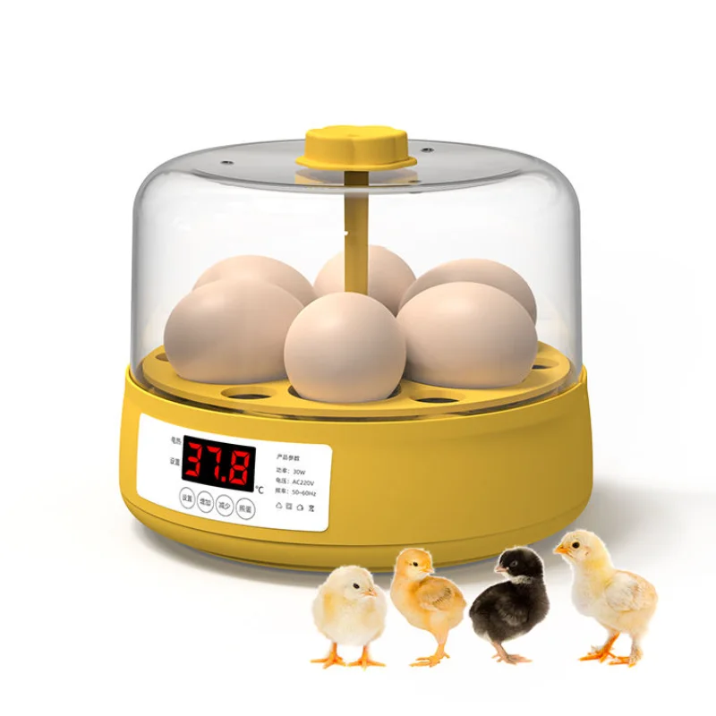 

6 Eggs Incubator With Drawer Type Mini Egg Incubator With Automatic Water Ionic Waterbed Replenishment And Temperature Contro