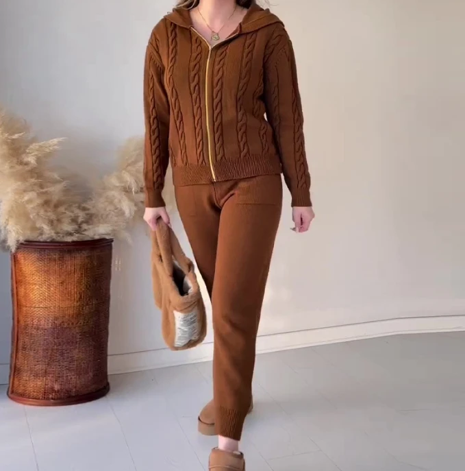 Solid Fried Dough Twists Hooded Zipper Top Casual Style Home Set 2023 New Autumn Winter Women's Commuting Long Pants